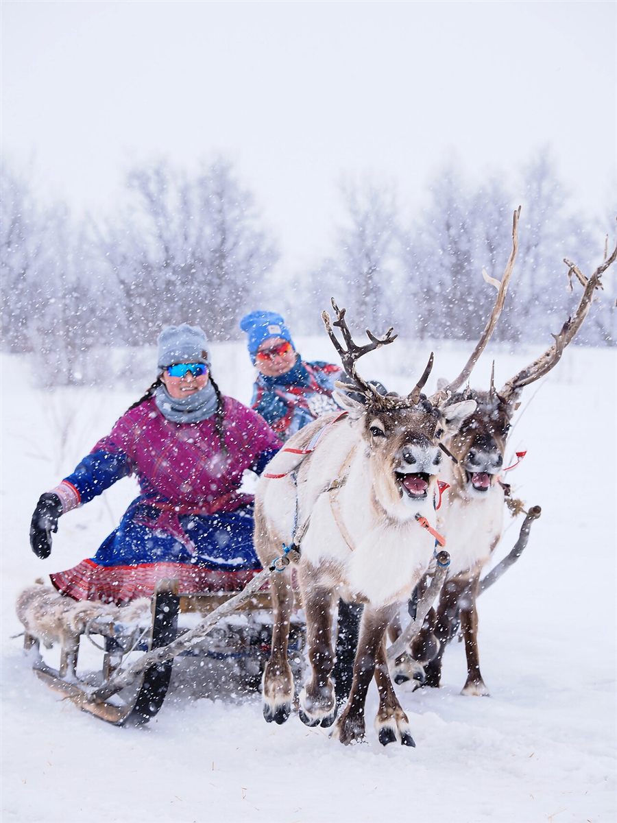 Two Sámi women in traditional winter clothing racing a reindeer sled through falling snow